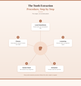 Radial diagram of the tooth extraction procedure steps from numbing to socket closure at a Surat dental clinic